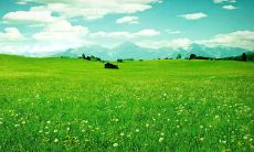 一则令人愉悦的英语句子，让你享受开心的时刻