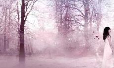 慵懒哀伤的言辞：一个展现内心矛盾的情感句子集合