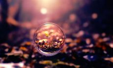 《经典名言：评价他人必不可少》- 第十期