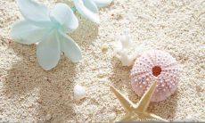 感人至深、令人心碎的富有诗意的句子