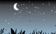 一组令人陶醉的闪耀夜色下的唯美句子