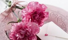 令人心动、含蓄又有深度的高雅情话，展现你的文化涵养与情感魅力