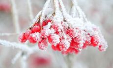 分享一些令人愉快的句子，让你在霜降时刻发朋友圈更有趣