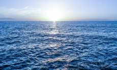 用现实句子诠释亲情，表达内心真实感受