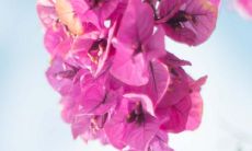 列举一些表达不快情绪的句子