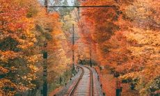 如何用短信在秋天向多个人发送问候？