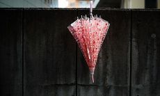 深层次探讨：描述对人极度失望和失信的重重句子集合