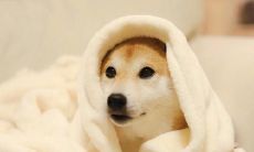 成为你每天的常态：学会用积极的语言表达，让你的日常平凡变得更加美好！