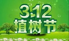 植树节网络社交时代：分享植树照片装点朋友圈，推广环保观念，引导全民参与筑绿行动