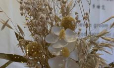 富有温情的冬季文案：让寒冷无处藏身的可爱暖心小句子