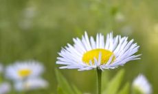 在美丽欢畅的沙漠里沉醉的句子：激动人心、愉悦惬意的语句