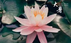 生活中也需要保持开心心态的句子：快乐与幸福是每个人都可以拥有的，无需依靠其他人