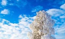 唯美句子探讨：如何保护我们珍贵的动物朋友？