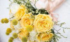 在寒冷的冬日里，送您温暖的早晨问候短信！