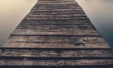 感激导师的青铜行文：数百字的感恩之情，献给那些曾经教授我们知识、培育我们成长的老师们