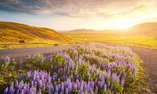 沉重忧郁的言辞倾述内心烦扰之情