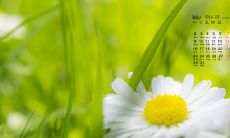 出游时和好友相伴的愉悦感：分享喜乐之旅的美好时光