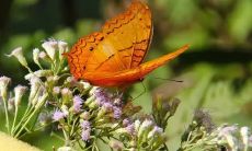 如何写出有温度的生活问候短信？-有关措辞和表达技巧的建议