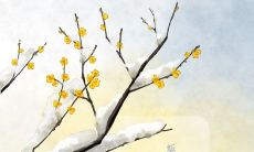 随着冬至的到来，一句温馨的祝福语伴随着美丽的图画，给你传递暖暖的祝福！