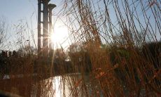 充满正能量的励志句子简短而经典的语录：激励你前进！