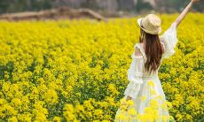 让我们分享一些让人感到欢乐的春游经历及其表达方式吧！