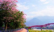 每日用积极愉快的语句打造快乐生活