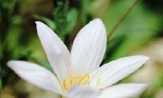 有一种谊谊，叫做“不常联系”的句子：人世间如此之多，而此情却稀少