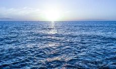 分享欢乐与幸福的美妙言辞