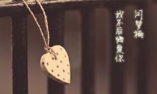 哪些句子表达了深爱且绝不后悔的情感？