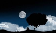 发自内心的表达对失望的情感，谈谈内心的感受和思考