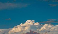 结婚时适宜在朋友圈中分享的优美句子，以庆祝和纪念这一生中最重要的时刻和事件