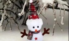 白茫茫的雪景，让我深深感受到大自然的神奇魅力，真的是一种无与伦比的美丽，我要在朋友圈上分享这份喜悦，让大家一起感受：冬日雪景，即景即珍！