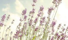 感悟亲情的励志句子，分享内心真实感受