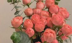 在这个感恩节，与亲朋好友一同分享感恩之情，并用最真挚的祝福语句子表达我们对生活中的一切点滴、家人、朋友以及生命本身的感恩之心