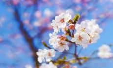 分享：充满幽默与爱意的经典句子：用它们逗女友开心吧！