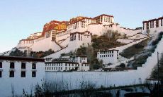 如何在社交媒体上恰当地展示自己的旅行体验？