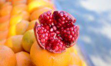 透过细腻的情感描写体现出感人至深的亲情纽带：一组充满温馨细节的句子