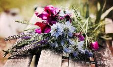 探究亲情主题：可以用于任何电影的万能影评句子