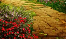 一份珍贵的信物——2022年的座右铭，让自己成为未来的成功者！