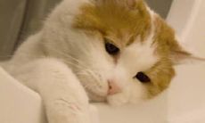 无法感受快乐的话语