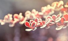 心情低落，压抑不开心的句子连成双句