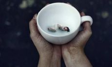 深切表达对一个令人失望的句子所带来的强烈情绪与情感反应