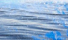 每天送上问候的短信祝福，让您的心情更加温馨和舒畅