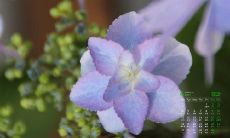 用抖音传递深刻亲情的句子，引发感动与共鸣