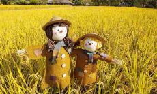 展现浓郁亲情的感人句子，让你泪流满面！