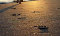 沉浸在爱情失望中无法自拔的悲伤句子集锦