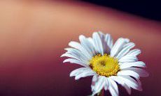 深情回顾亲情起点的十佳成长经典句，感悟亲情的伟大力量！