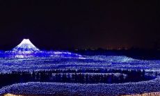 与同学开心相处的秘诀：用积极乐观的语言表达自己的情感和想法！