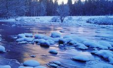 十二句唯美动人的关于亲情缘分的句子，让你感受到最深刻的亲情之美