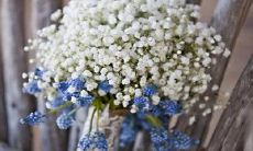 充满温馨情感的寄语：告别清明假期，分享美好回忆的问候短信